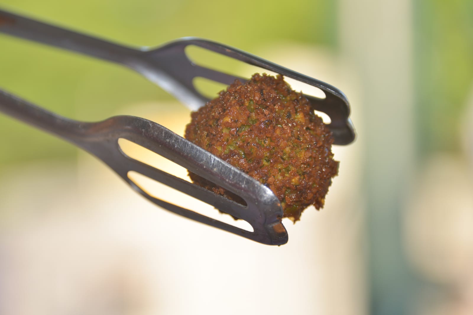 מסיבת ל"ג בעומר בפנימיית טוקאייר