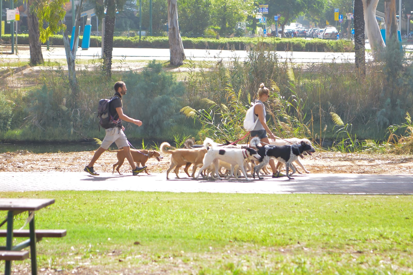 פיצה עם חניכי בית אקשטיין בטבע