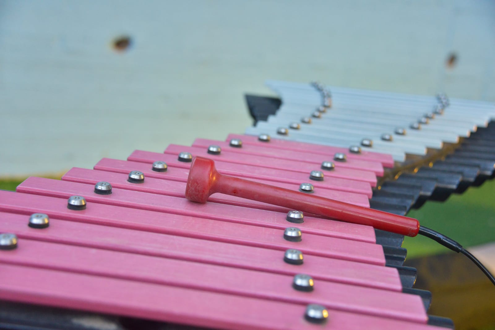 אחה"צ של מוסיקה ופלאפל בכפר עופרים