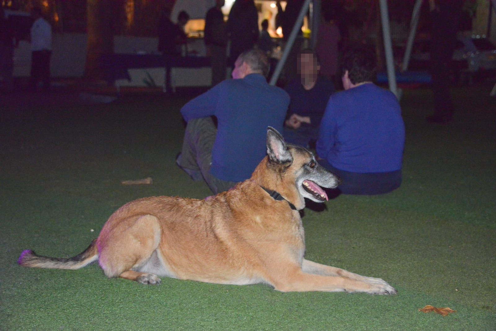 אחה"צ של מוסיקה ופלאפל בכפר עופרים